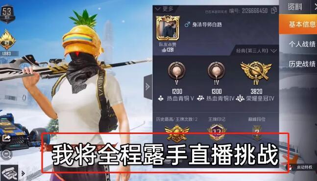 和平精英辅助：游戏公平性与技术挑战
